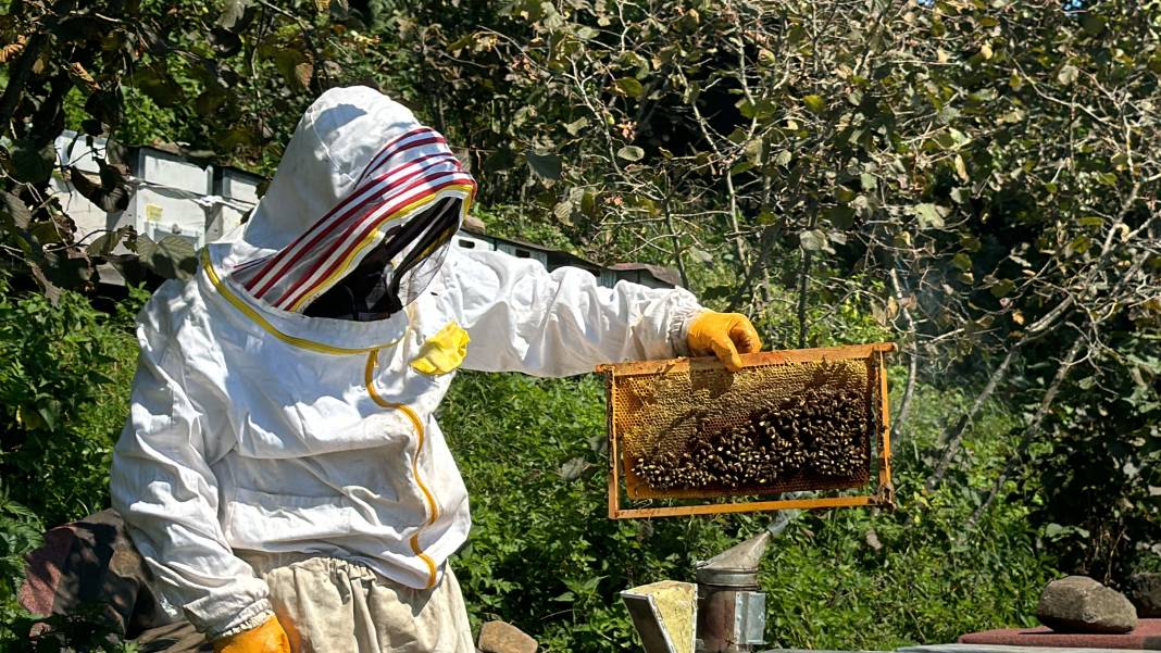 Öyle tatlı ki! Hasadı gelmeden sipariş yağmuru geliyor 8